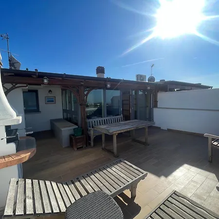 Daisy House *