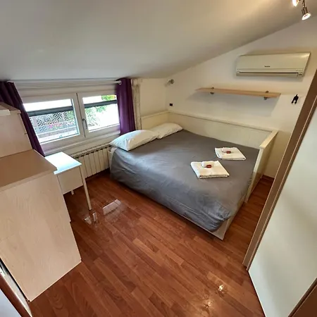 Apartament Daisy House *